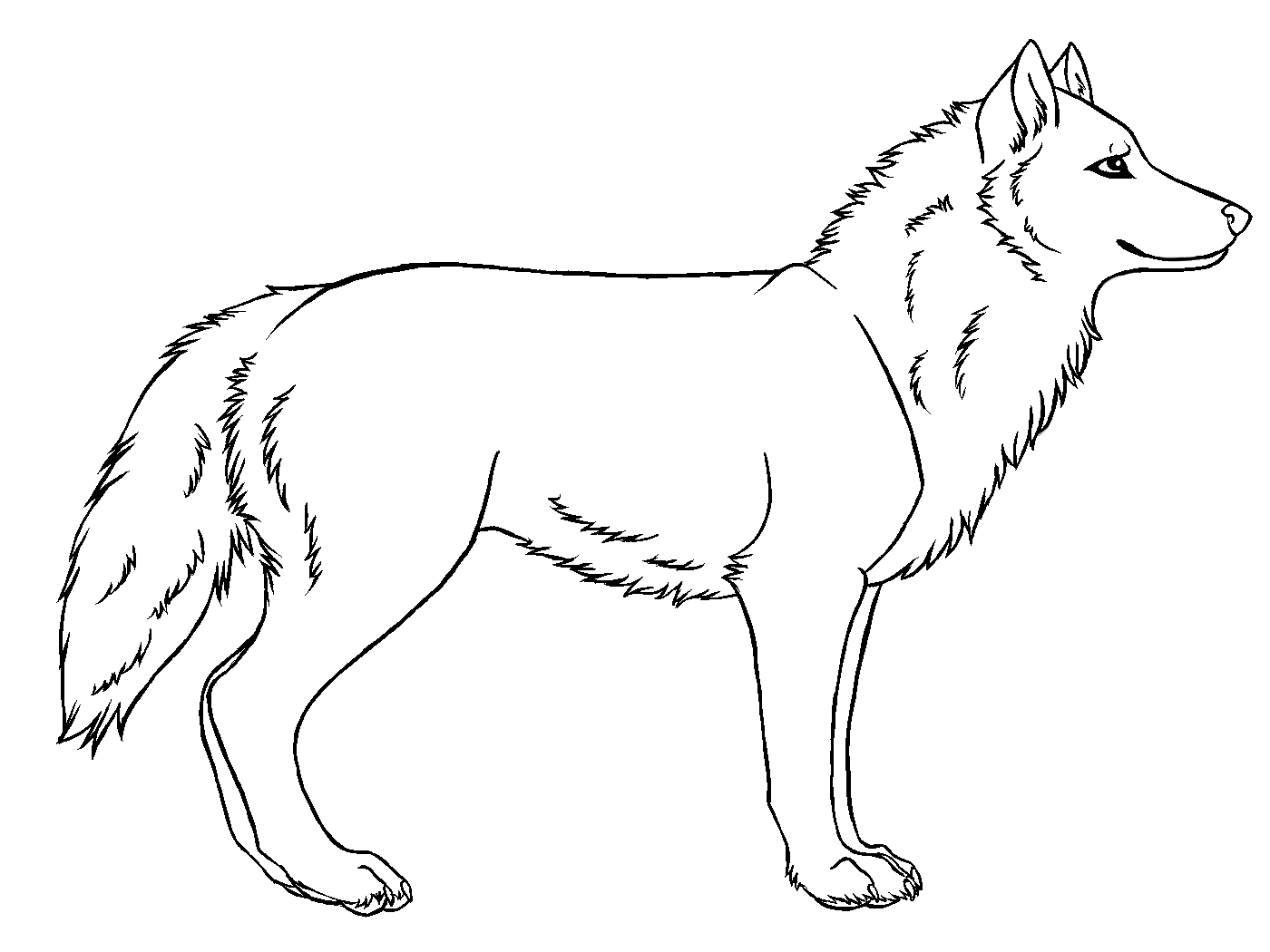 Wolf Line Drawing