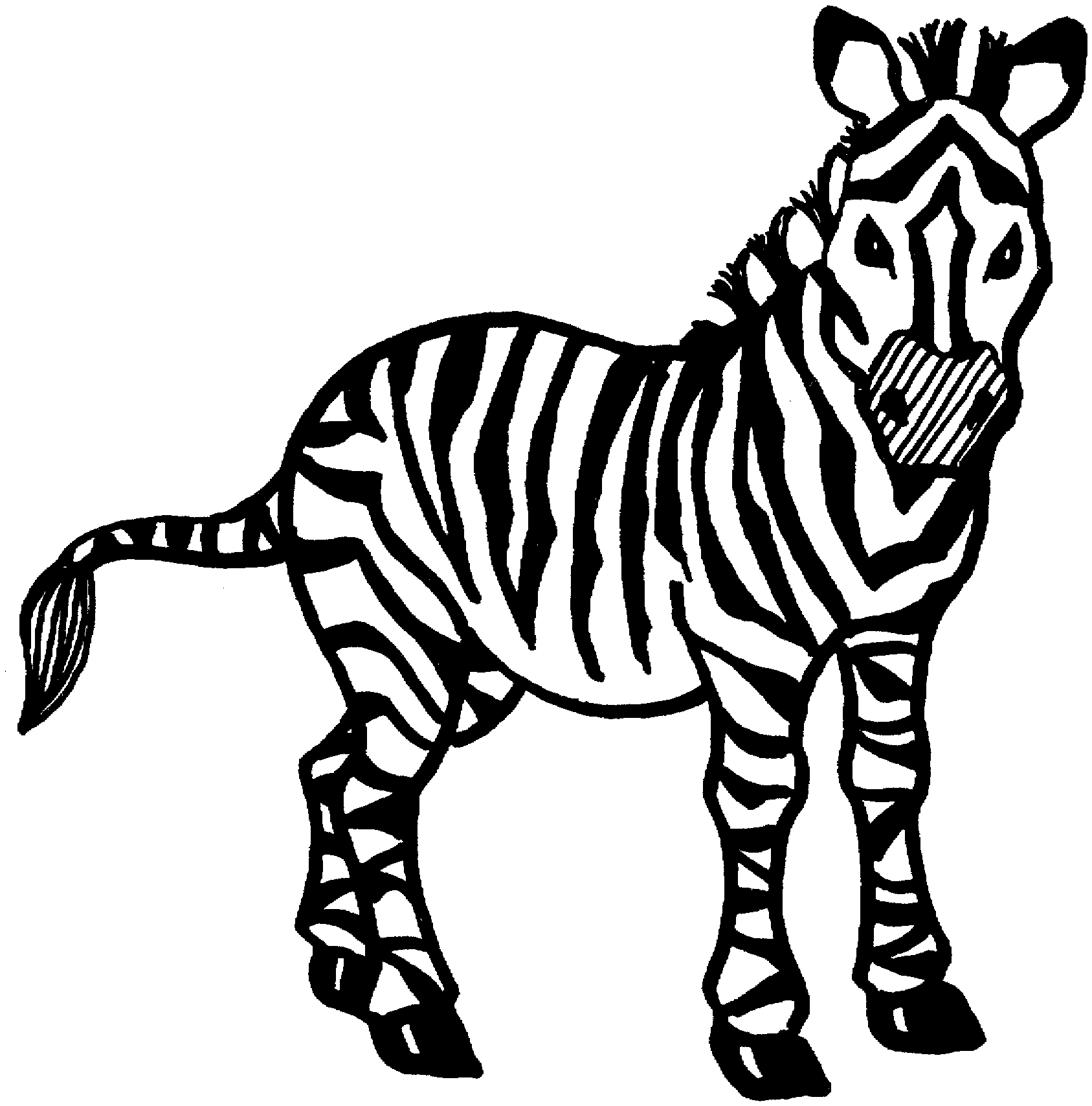 Zebra Coloring Page 2211 Free - ClipArt Best - ClipArt Best