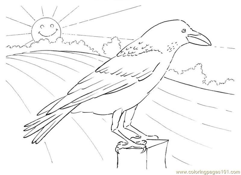 Crow looking coloring page - Free Printable Coloring Pages