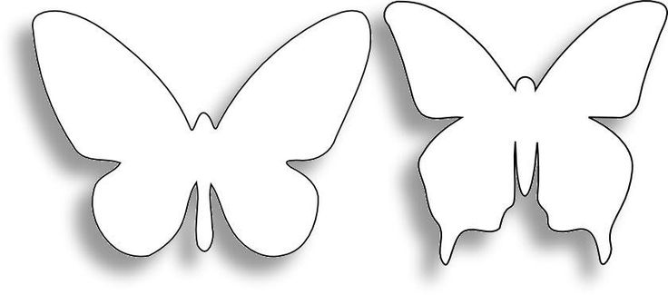 Butterfly Outline Pattern | butterflies :: pics ideas designs ...