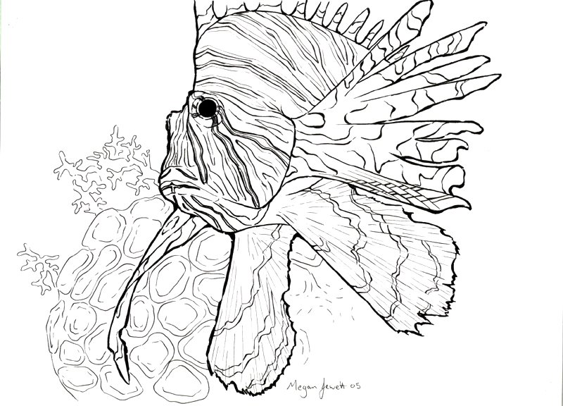 lionfish2.1.jpg