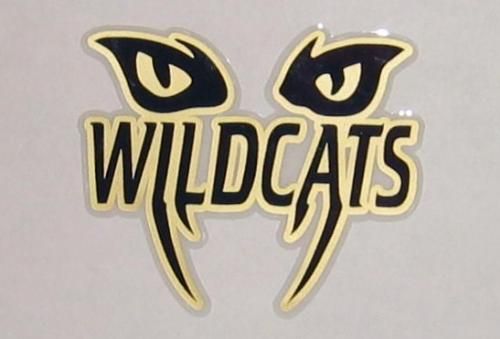 Wildcat logo - Google Search | Baseball uniforms | Pinterest