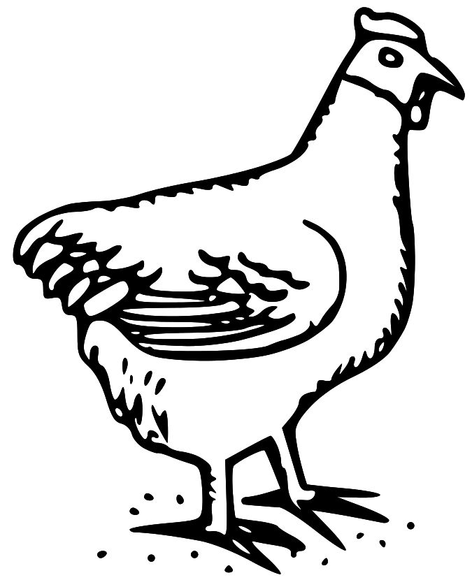 LDS Clipart: chicken clip art