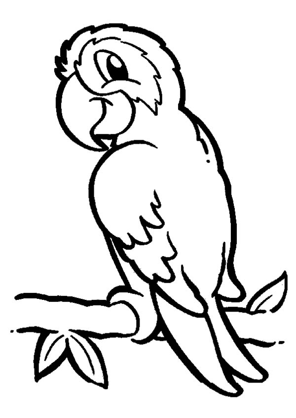Parrot on Branch Coloring Page - Download & Print Online Coloring ...