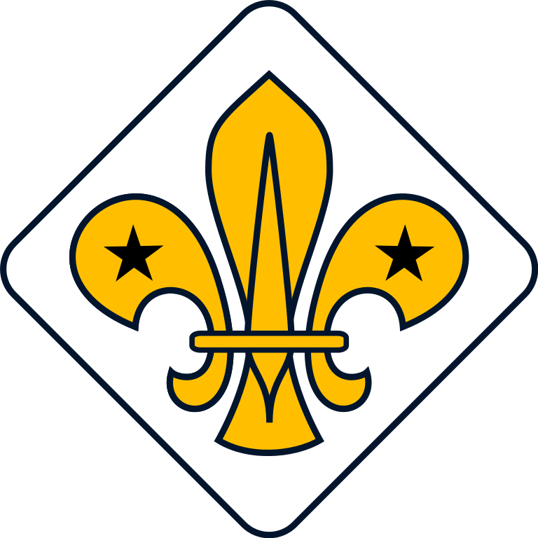 File:WikiProject Scouting fleur-de-lis diamond.svg - Wikimedia Commons