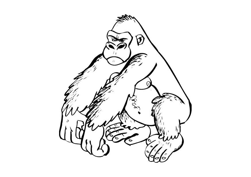 Coloring page gorilla - img 9682.