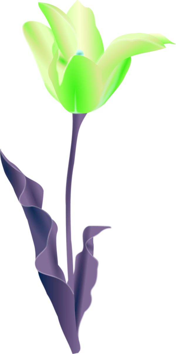poppy flower - vector Clip Art