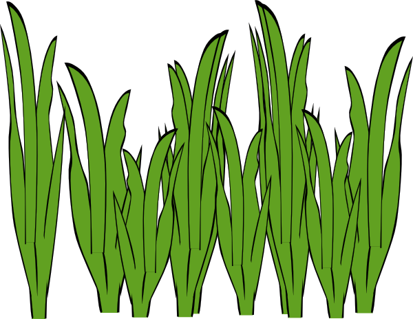 Grass Outline Clip Art - ClipArt Best