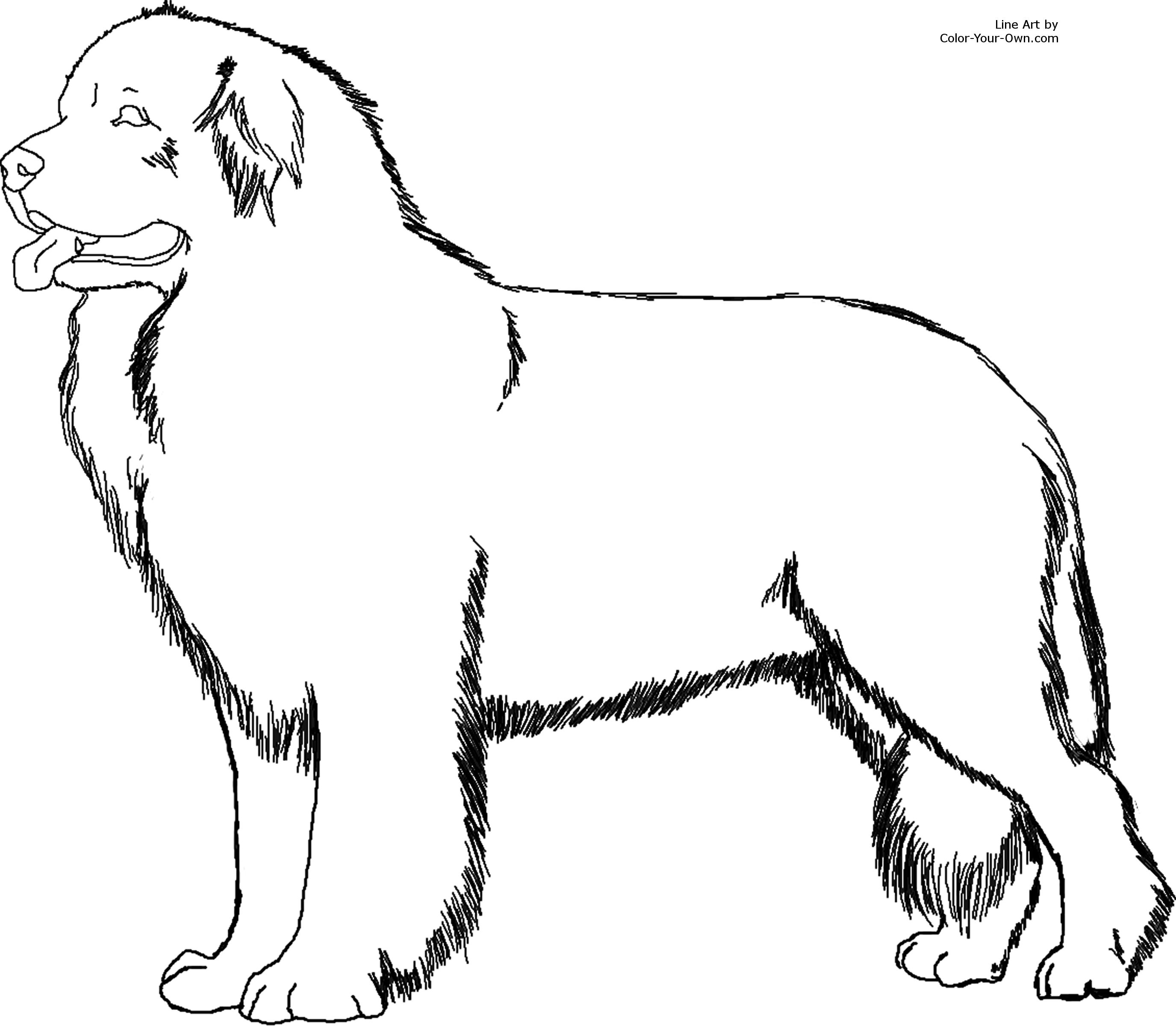 Dog and Baby Cat Coloring Page Printable Download Free For Kids ...