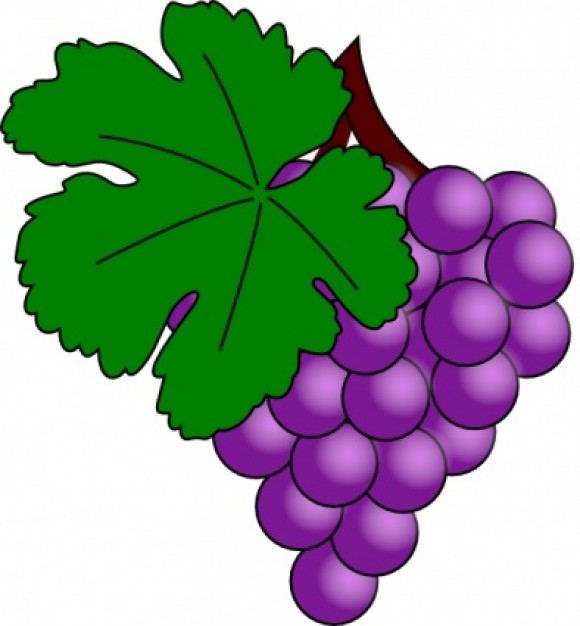 Grape With Vine Leaf clip art Vector | Free Download