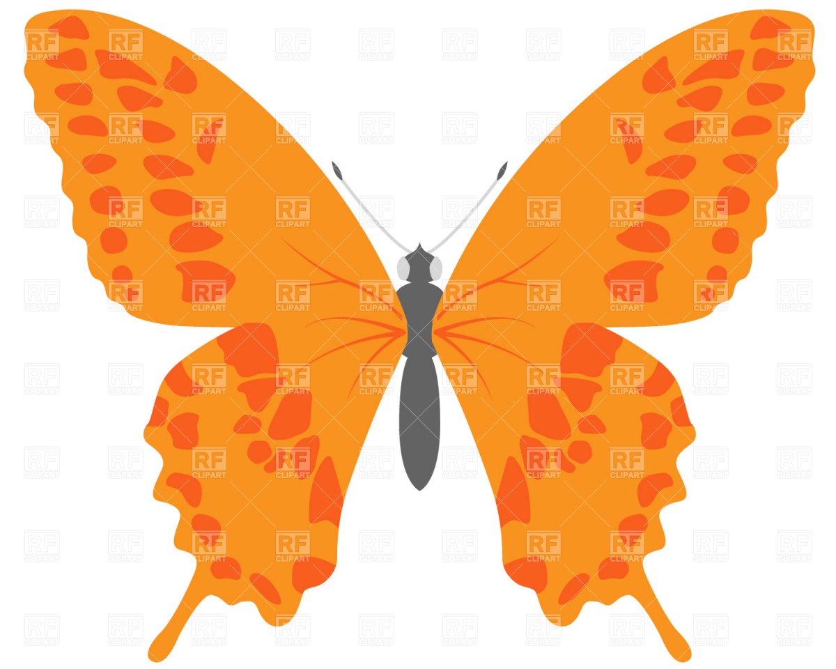Butterfly, Plants and Animals, download free vector clip art (