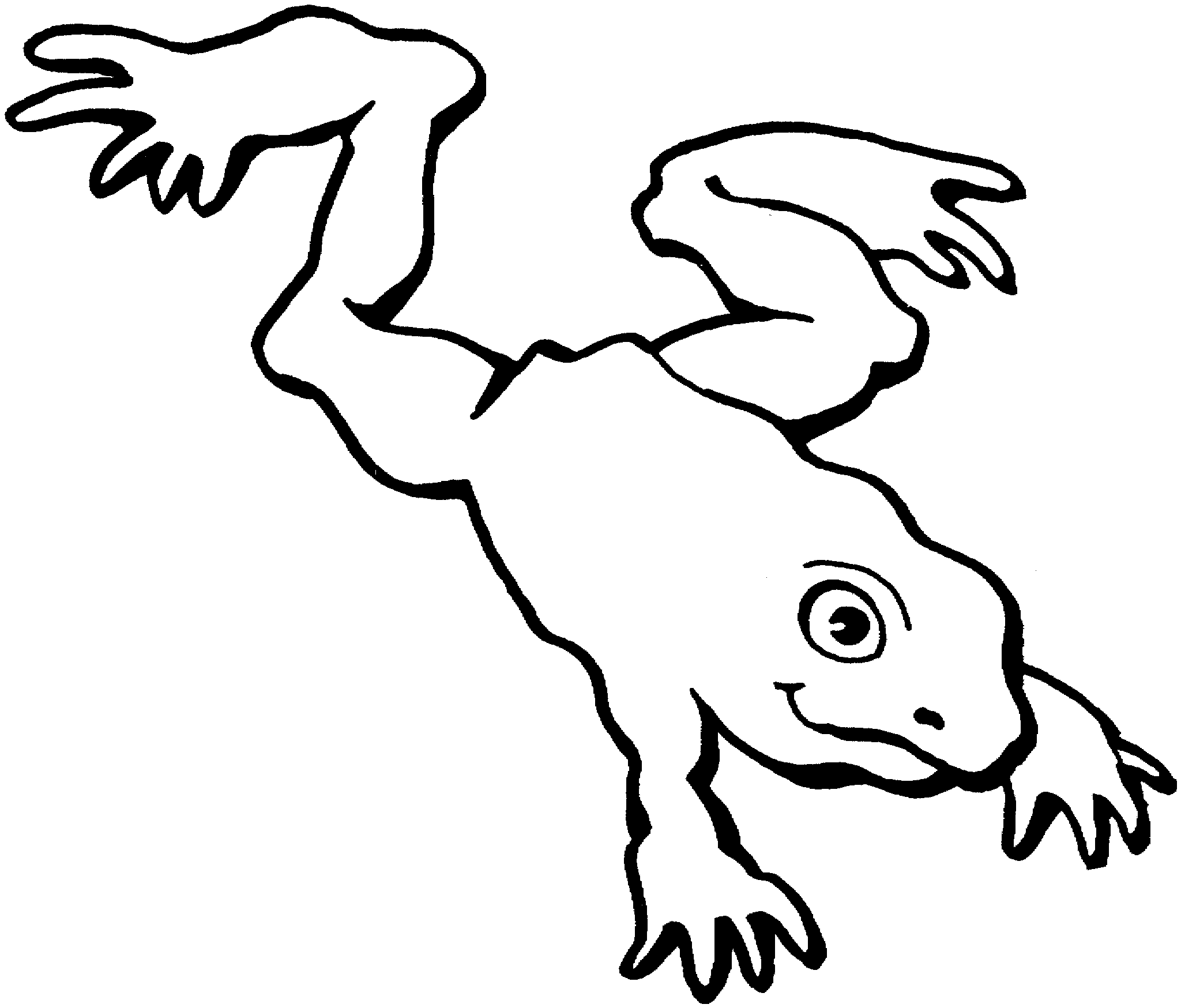 Jumping Frog Coloring Pages | Clipart Panda - Free Clipart Images
