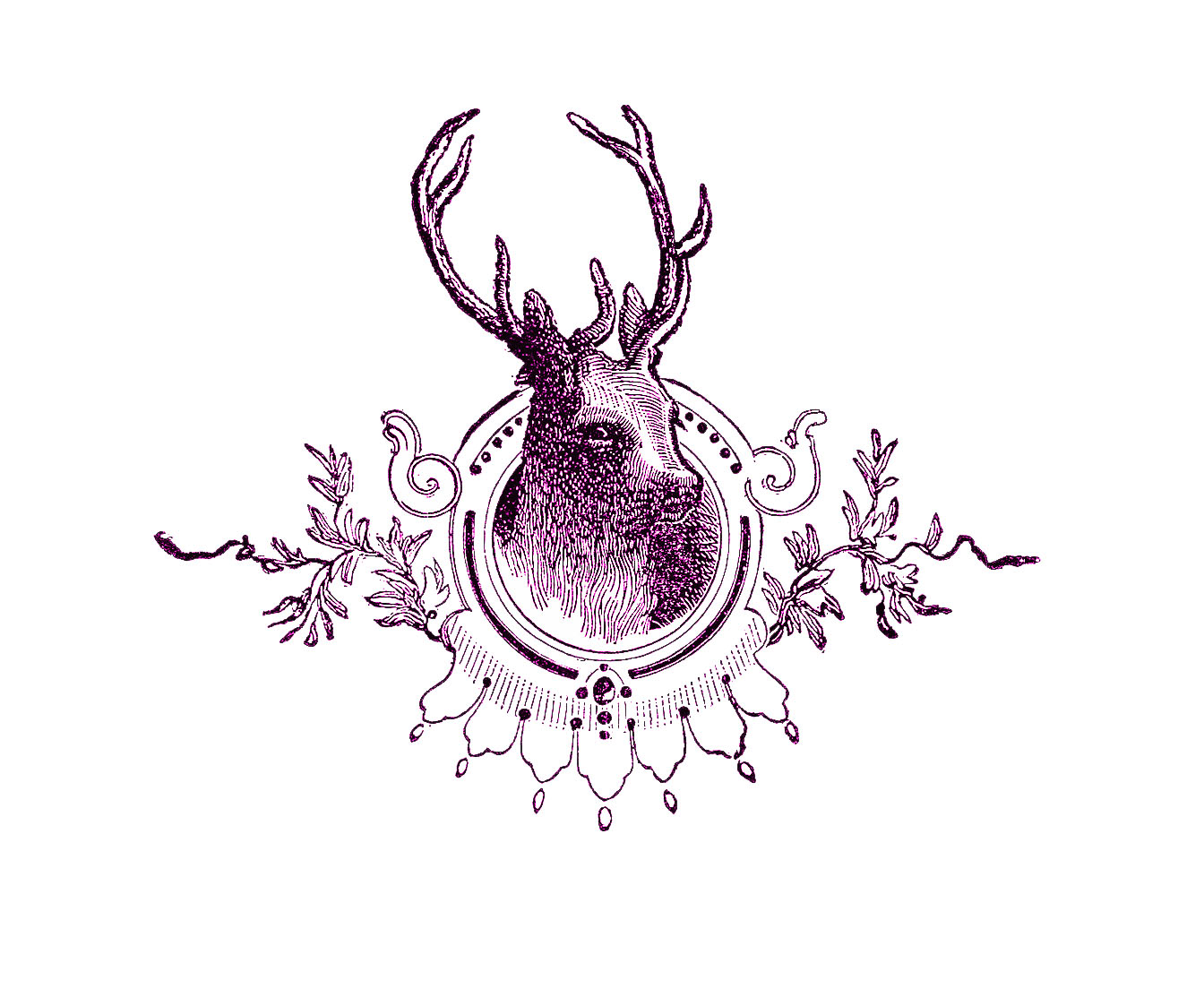 Vintage Christmas Image - Deer Head Engraving - The Graphics Fairy