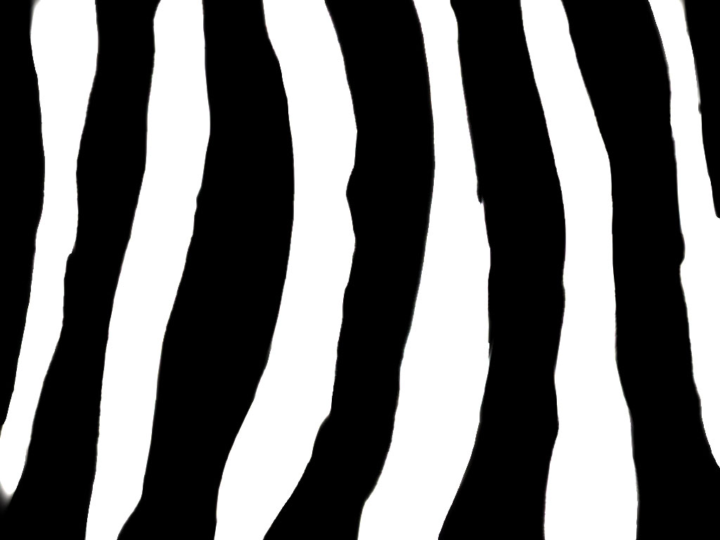 Zebra Pattern Background - Your HD Wallpaper #ID71970