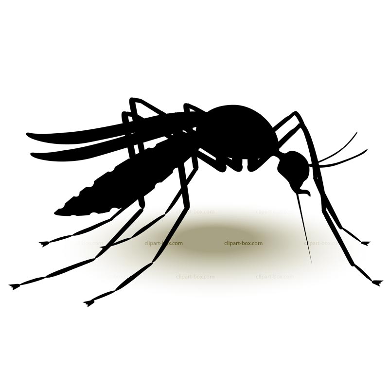 clipart mosquito net - photo #23