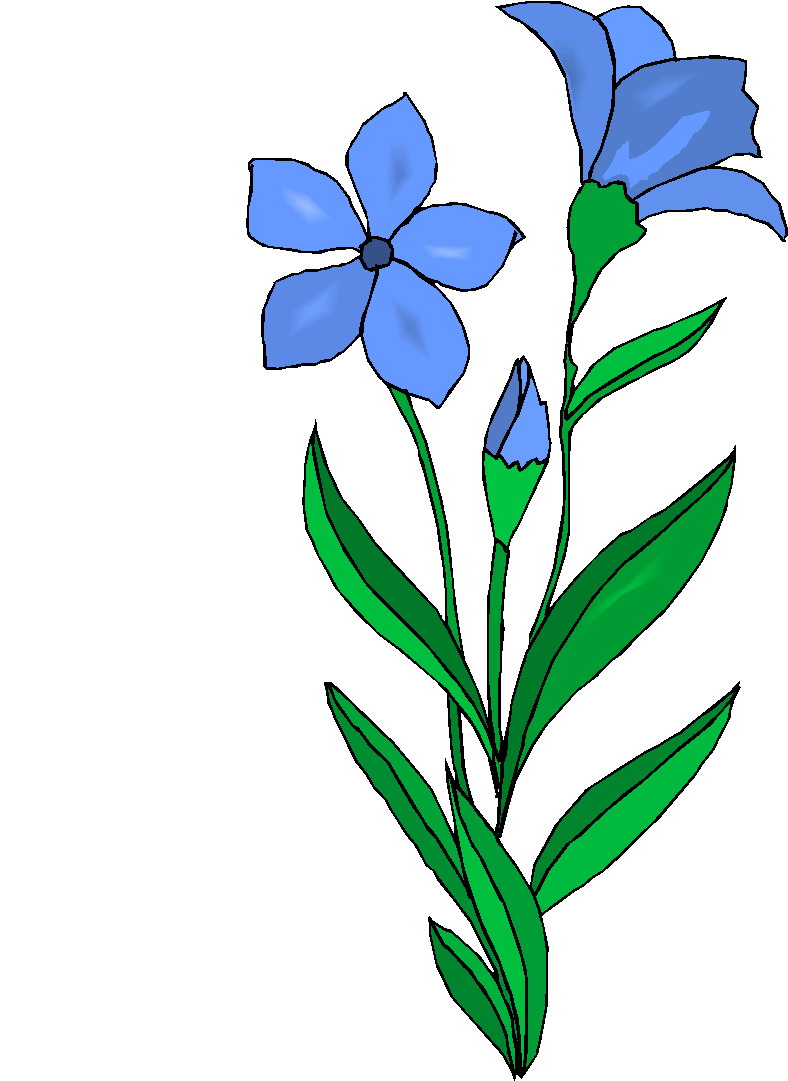 Images For > Plants And Flowers Clip Art