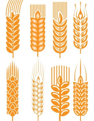 Wheat Free vector for free download (about 212 files).