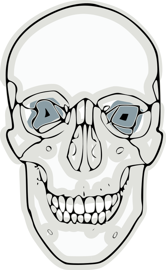 Digitalized human skull Clipart, vector clip art online, royalty ...