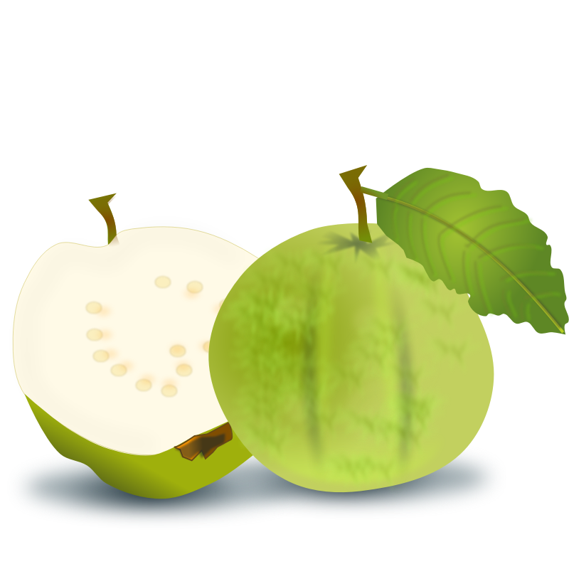Clipart - Guava