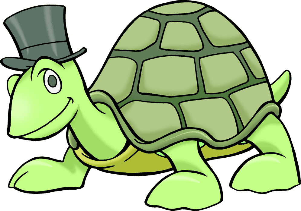 turtle clip art images free - photo #12