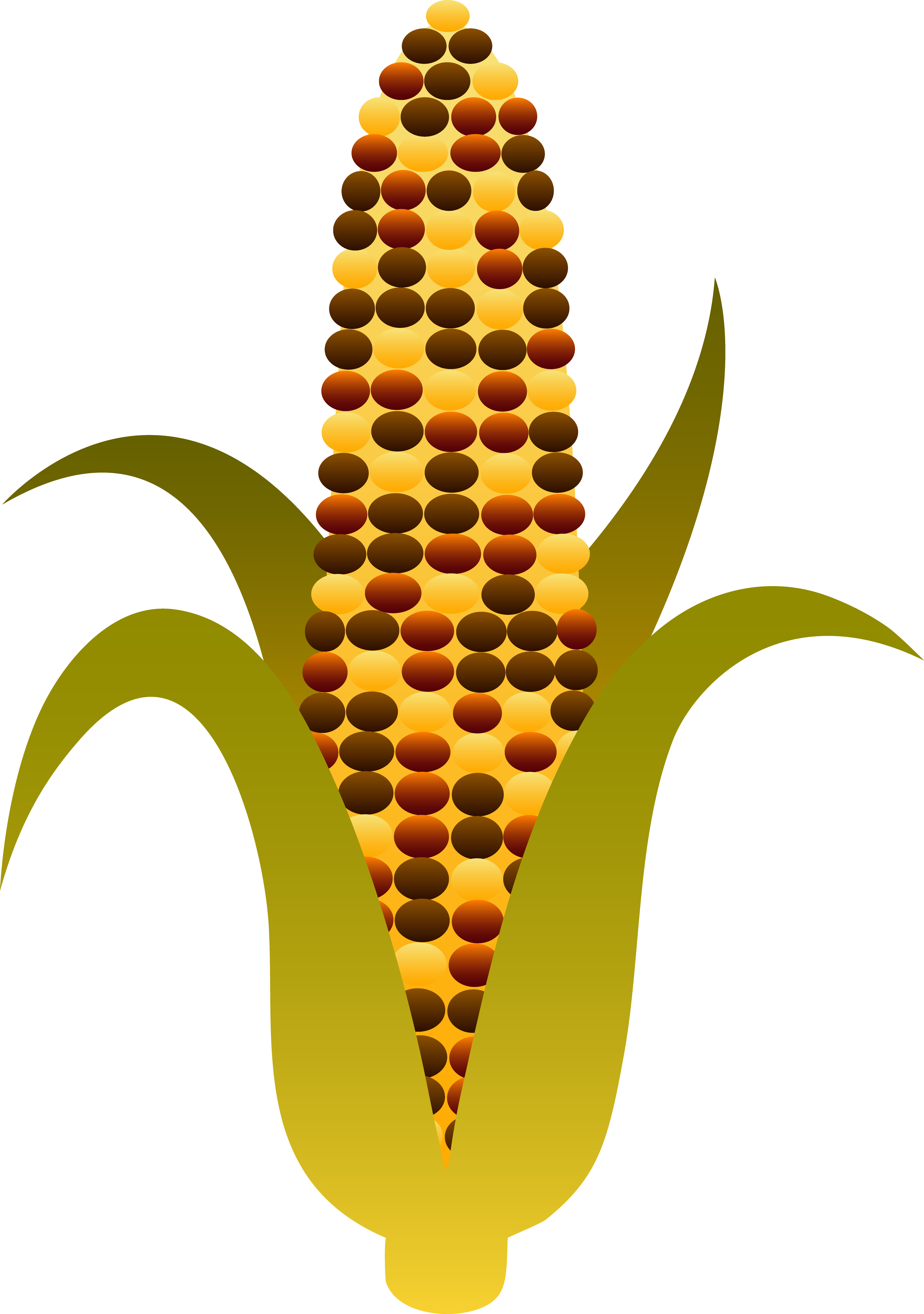 Corn Clip Art Free | Clipart Panda - Free Clipart Images