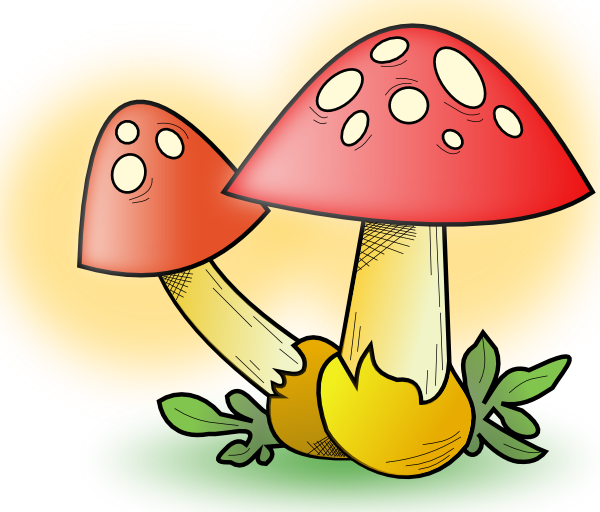 Romanov Mushroom clip art Free Vector / 4Vector