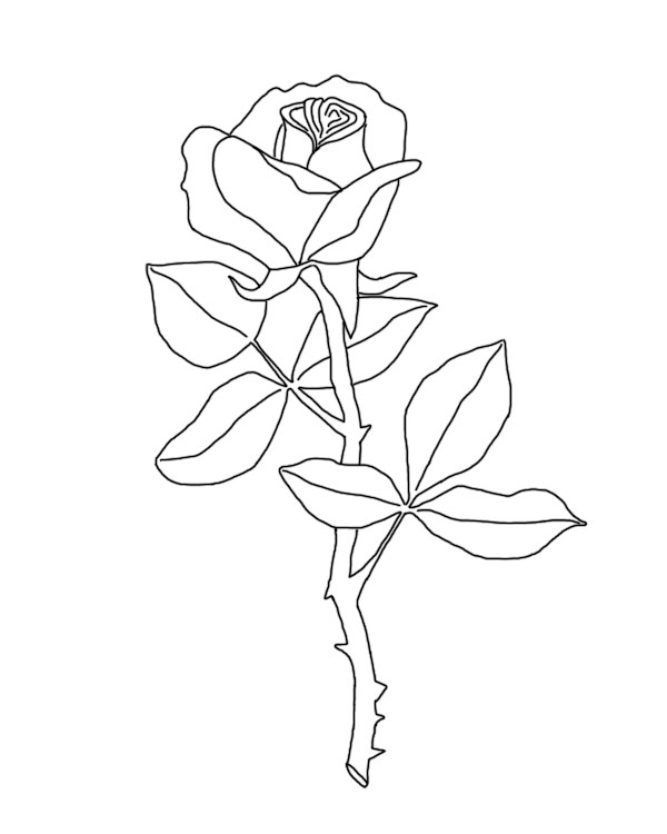 DeviantArt: More Like Rose LineArt by moonlight-fox