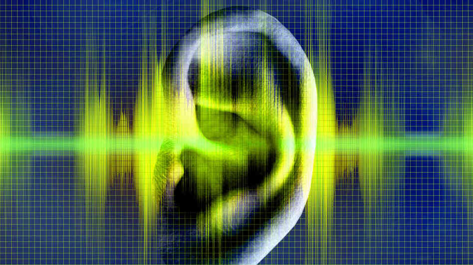 earpicture.jpg