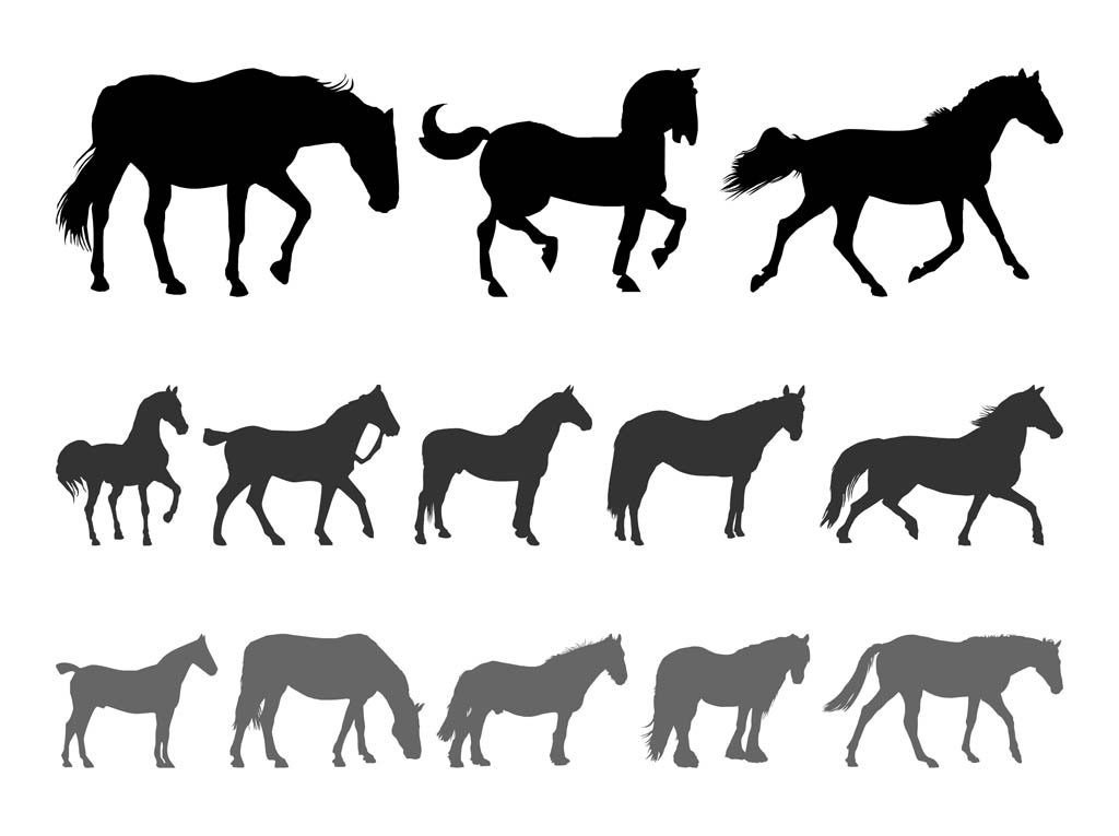 Free Horse Vectors