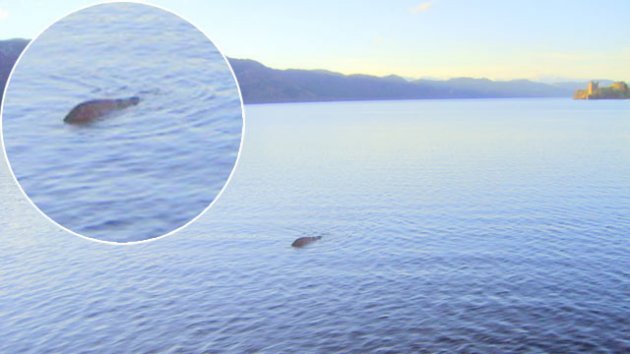 Scottish Sailor Claims To Have Best Picture Yet Of Loch Ness ...