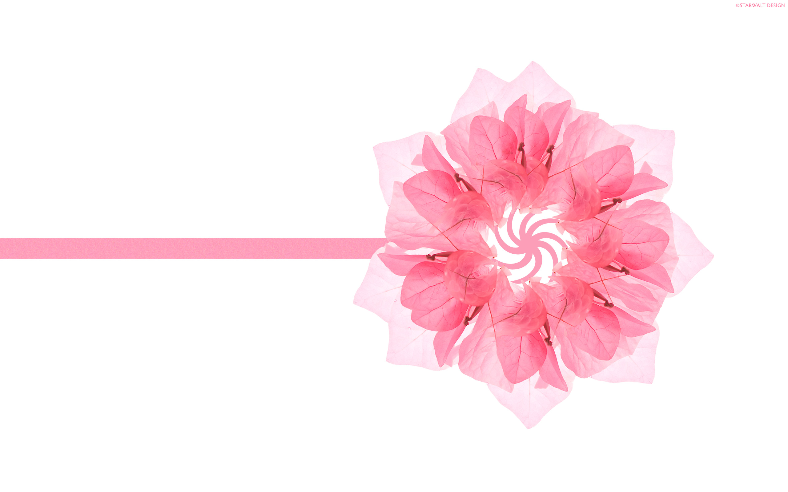 2012 Mother's day beautiful flower - pink flower Wallpapers - HD ...