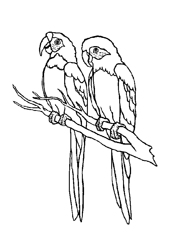 coloring pages for kids animals