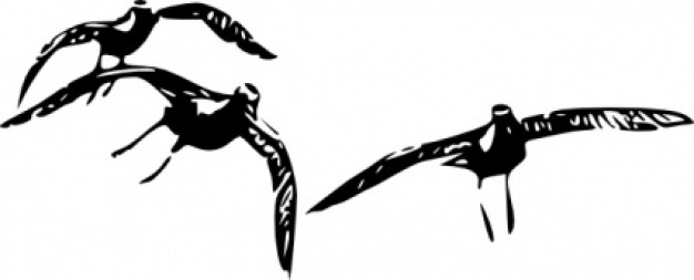 Birds Flying clip art Vector | Free Download