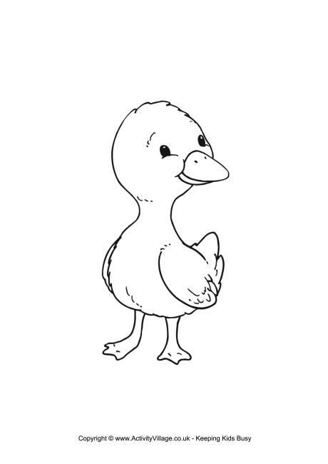 duckling_colouring_page_460_0.jpg