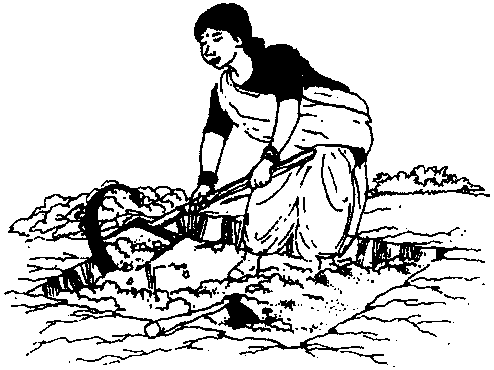 Environmentally Sound Technologies for Women in Agriculture (IIRR ...
