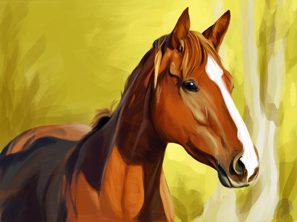 brown horse by antubis0 on DeviantArt