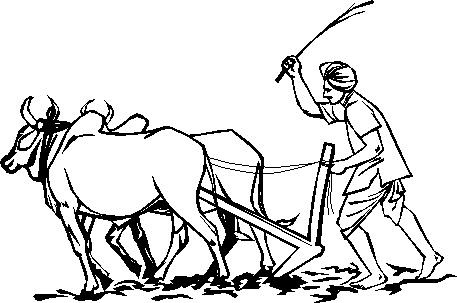 அந்திமாலை: விவசாய வாத்தியார்