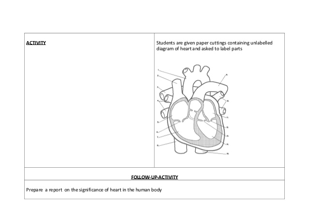 Innovative lesson plan Structure of Heart