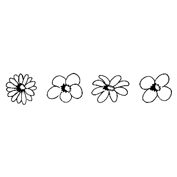 Artifacts Unmounted - Flower Head Border [AUM-E008] £2.95 - Rubber ...