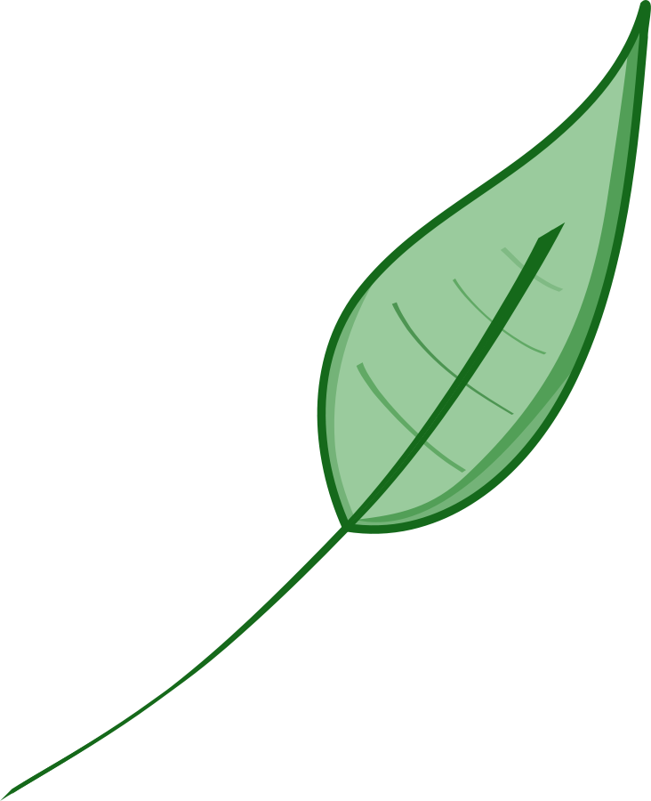 Green leaf large 900pixel clipart, Green leaf design