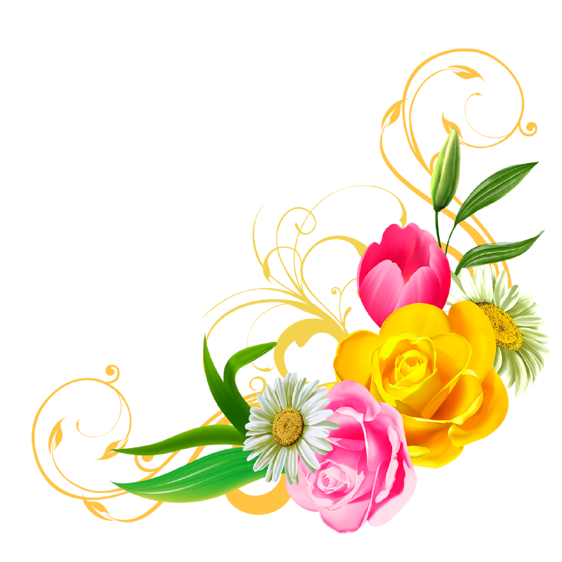 Floral and Flowers PNG Clipart