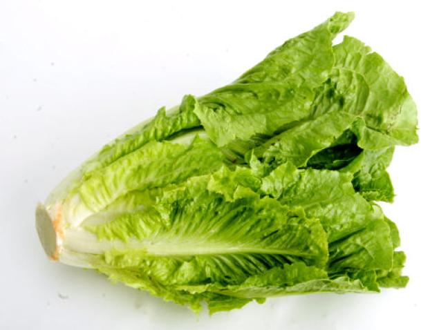 Lettuce | barfblog