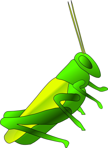Cricket Animal Cartoon images