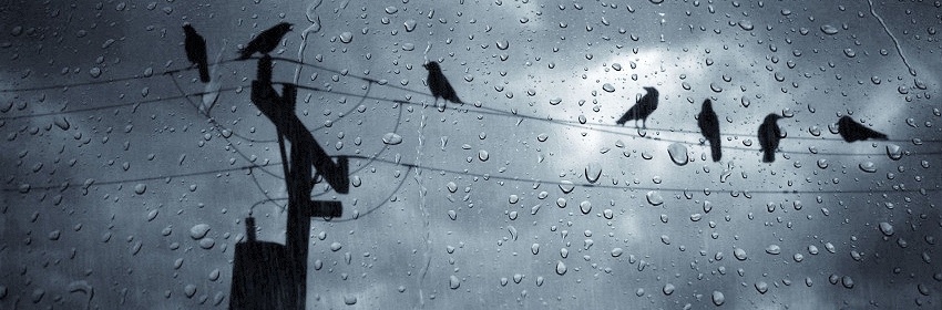 Rainy Days | My New Normals