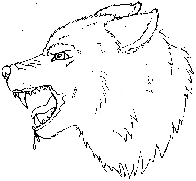 DeviantArt: More Like Wolf Head outline by peterpandagirl