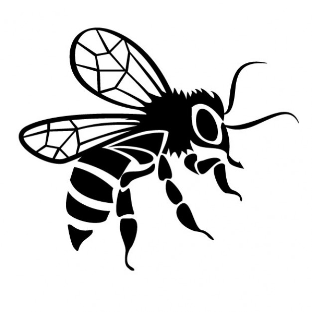 Black bee drawing vector image Vector | Free Download