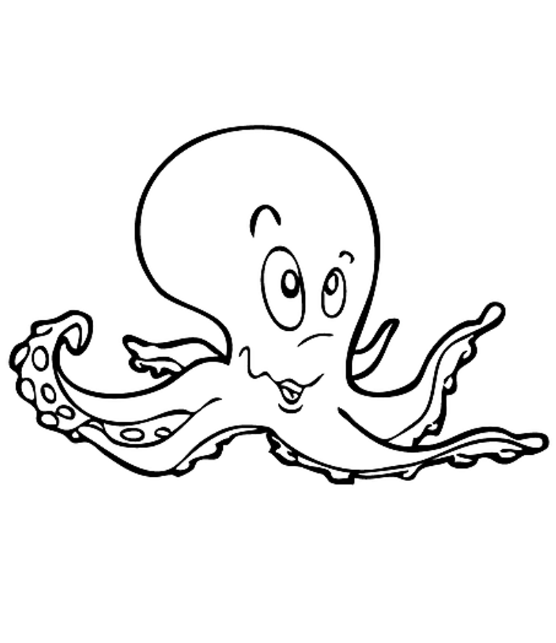Octopus Coloring Pages For Kids - AZ Coloring Pages