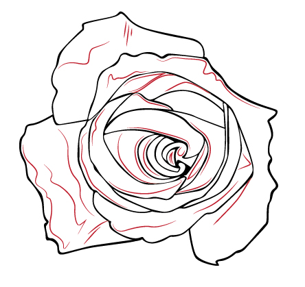 Creating a Stylish Line Art Portrait with Illustrator CS5