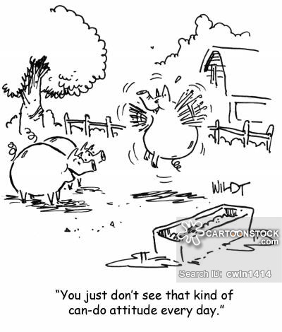 Flying Pig Cartoons and Comics - funny pictures from CartoonStock