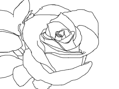 DeviantArt: More Like Rose LineArt by moonlight-fox